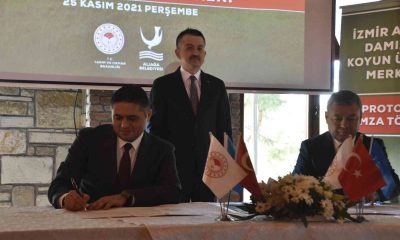 Bakan Pakdemirli’den süt fiyatlarına ilişkin açıklama: “Çalışmalarımız hazır”