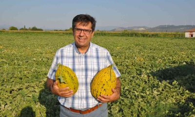 Bakan Pakdemirli’ye ’Kırkağaç kavunu’ çağrısı
