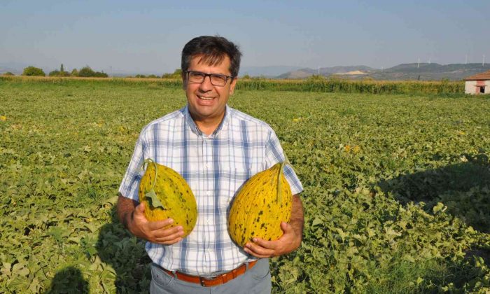 Bakan Pakdemirli’ye ’Kırkağaç kavunu’ çağrısı