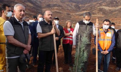 Bakan Yardımcısı Metin, Marmaris’teki fidan dikme törenine katıldı