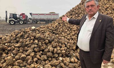 Başkan Aktaş: “Türkiye’de şeker krizi yok, bolluğu var”