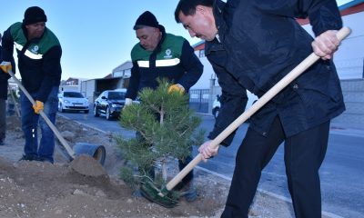 Başkan Kılca “Milli Ağaçlandırma Günü”nde fidan dikti