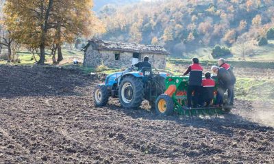 Bin dekarlık atıl durumdaki tarımsal arazi üretime kazandırıldı