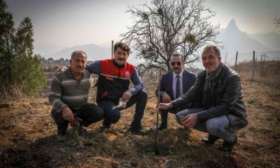 Boş tarlalar meyve ile bereketlenecek