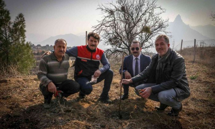 Boş tarlalar meyve ile bereketlenecek