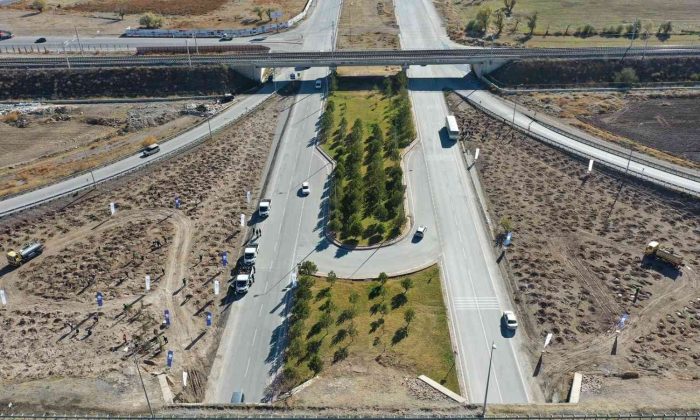 Büyükşehir; 15 bin fidanı toprakla buluşturdu