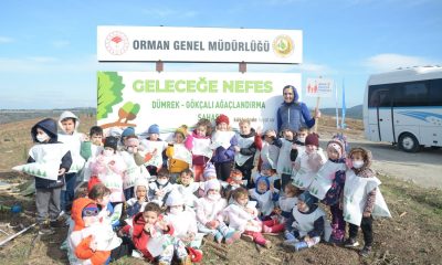 Çanakkale’de 43 bin fidan toprakla buluştu