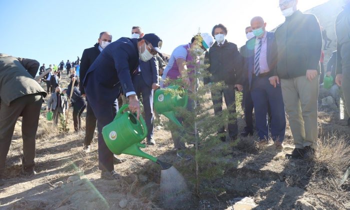 Çankırı’da 579 bin fidan toprakla buluştu