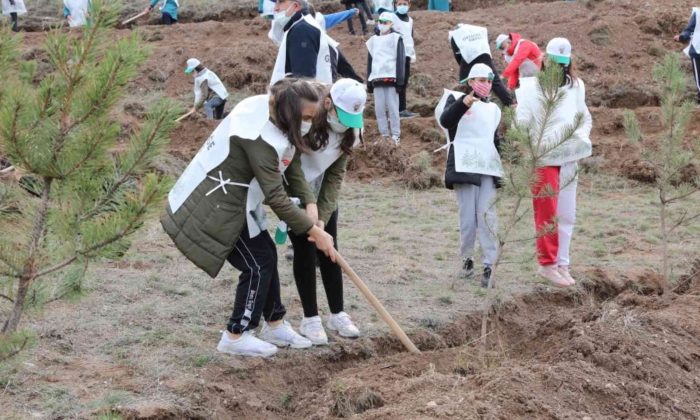 Çorum’da 1 milyon 590 bin fidan toprakla buluştu