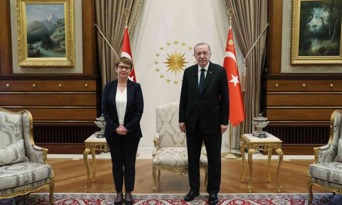 Cumhurbaşkanı Erdoğan, Renaud-Bosso’yu kabul etti