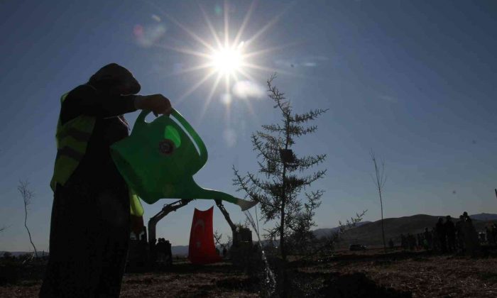Elazığ’da ’Geleceğe Nefes Dünyaya Nefes’ etkinliğinde 23 bin fidan toprakla buluştu