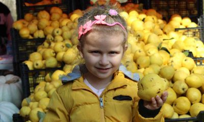 En lezzetli ayvalar bu festivalde yarıştı