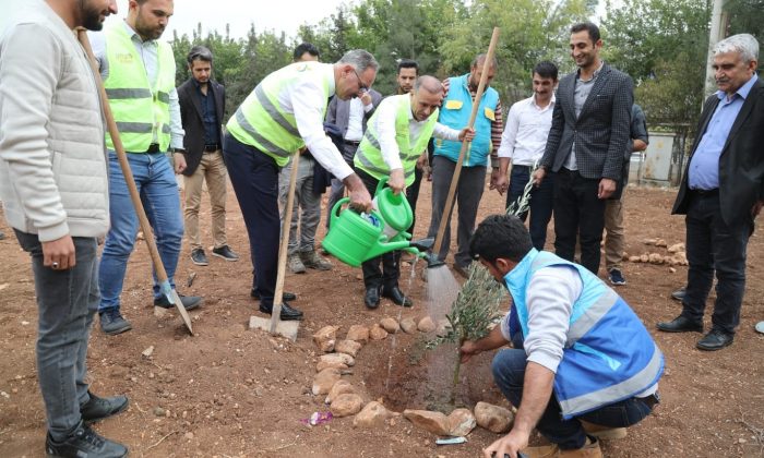 Eyyübiye’deki okullarda ağaçlandırma seferberliği başladı