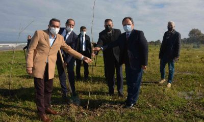 Fidanlar ormana dönüşecek