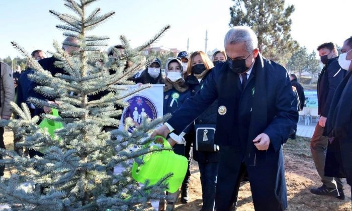‘Geleceğe Nefes’ projesi kapsamında Kastamonu’da 752 bin fidan yeşerecek