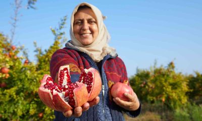Halka arzlar artıyor, bir şirket daha borsada işlem görecek