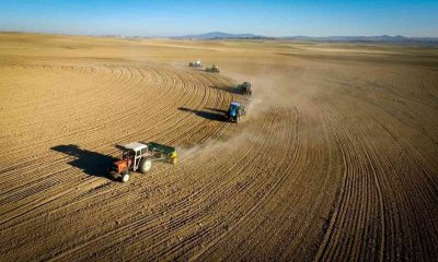 Hibe 80 bin kilogram buğday ve arpa tohumu toprakla buluştu