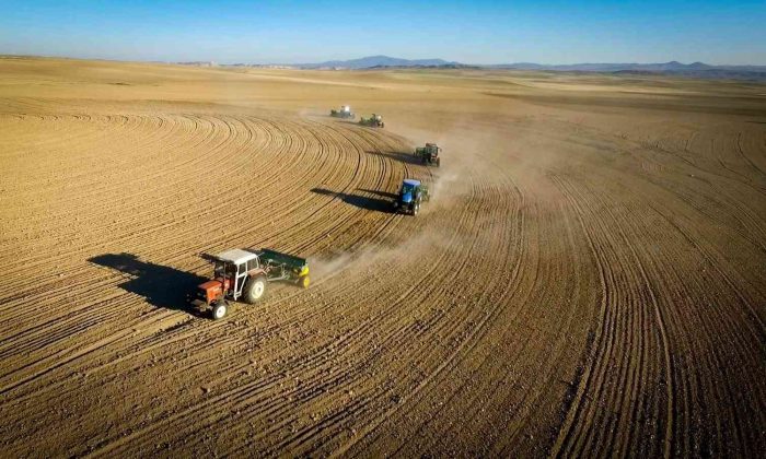 Hibe 80 bin kilogram buğday ve arpa tohumu toprakla buluştu