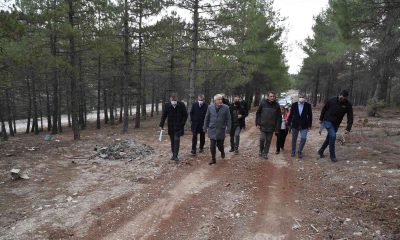 Isparta’da 110 bin metrekarelik alana ‘Millet Ormanı’ kuruluyor