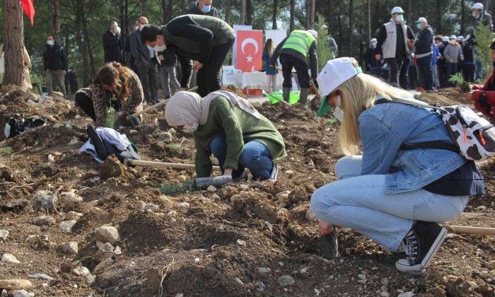 İzmir’de 65 bin fidan toprakla buluştu