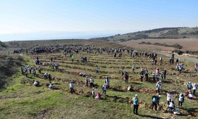 Kocaeli’de 40 bin fidan toprakla buluşturuldu