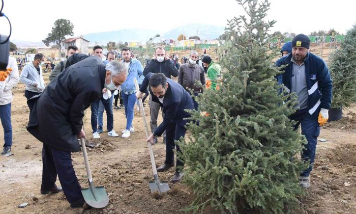 Konya büyükşehir Belediyesi 5 bin fidanı toprakla buluşturdu