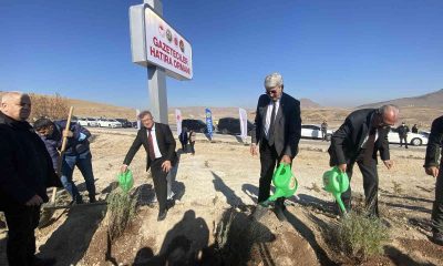 Konya’da Gazeteciler Hatıra Ormanı’na 5 bin fidan dikildi