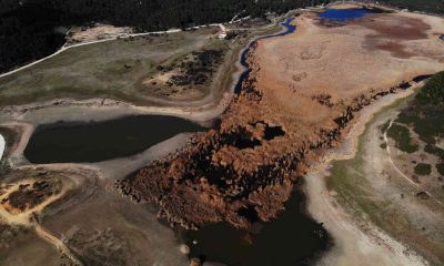 Kuş cenneti Yayla Gölü kuruma noktasına geldi