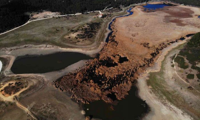 Kuş cenneti Yayla Gölü kuruma noktasına geldi