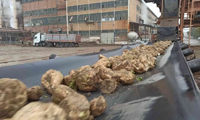 Malatya Şeker Fabrikası’nda hedef 60 bin ton şeker üretimi