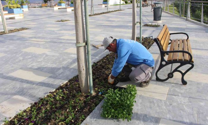Manavgat Türkbeleni’nde 28 bin çiçek toprakla buluştu