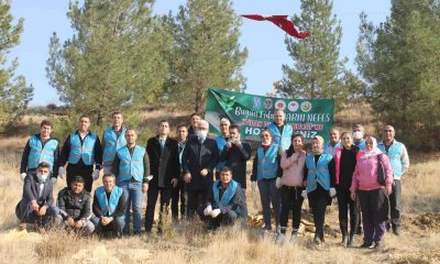 Mardin’de fidan dikme etkinliği