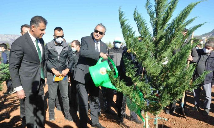 Mersin’de yanan ormanlık alanlar fidanla buluştu