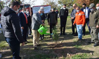 Milli ağaçlandırma gününde Didim’de fidan dikimi yapıldı