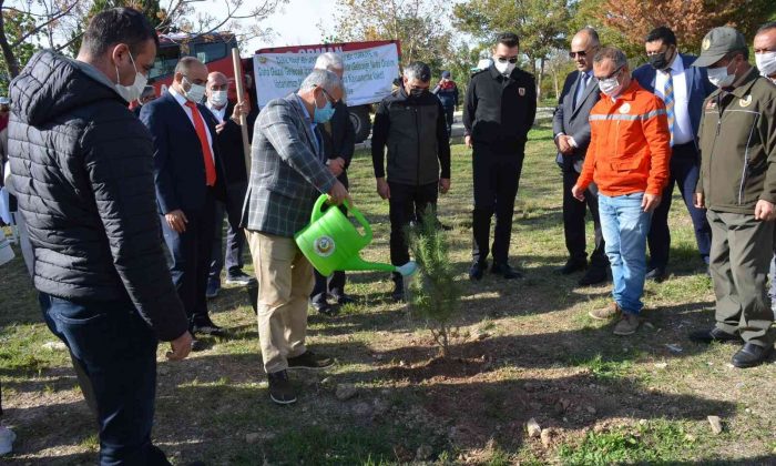 Milli ağaçlandırma gününde Didim’de fidan dikimi yapıldı