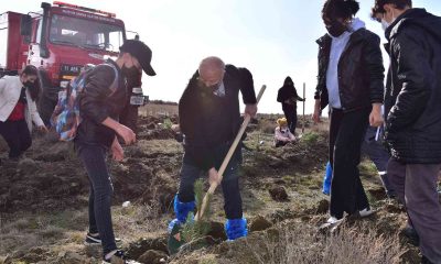 Milli Ağaçlandırma Günü’nde fidan dikildi
