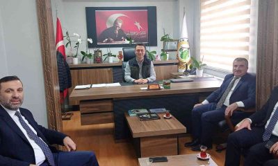 Özdemir: “Ülkemizin orman varlığını korumak için iş birliğine açığız”