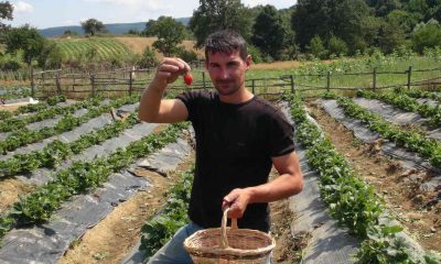 (ÖZEL) Çilek ikram etmek için Erdoğan’ı davet etti