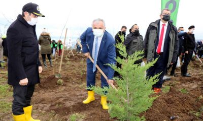 Samsun’da fidanlar toprakla buluştu: Hedef 771 bin fidan