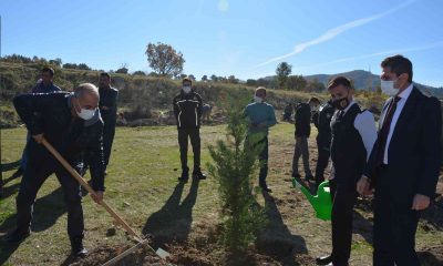 Selendi’de 300 adet fidan toprakla buluştu