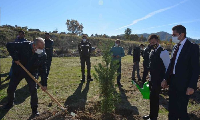 Selendi’de 300 adet fidan toprakla buluştu