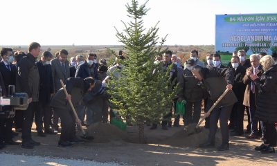 Tarım ve Orman Bakan Yardımcısı Özkaldı Kırklareli’de vatandaşlarla fidan dikti