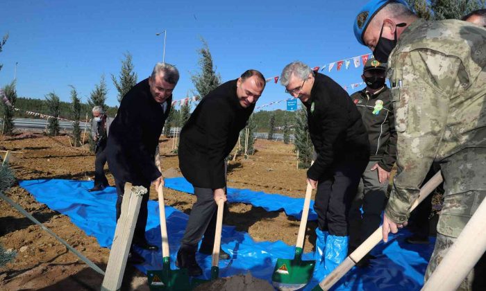 Tüm insanlığa nefes olmak için fidanları toprakla buluşturdular
