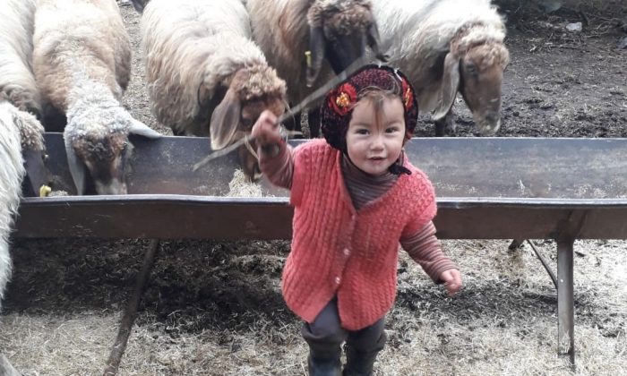 Ümitler tükeniyor… Müslüme’yi arama çalışması 10’uncu gününde