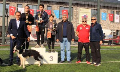 Ümraniye’de düzenlenen “Köpekli Frizbi Yarışması” renkli görüntülere sahne oldu