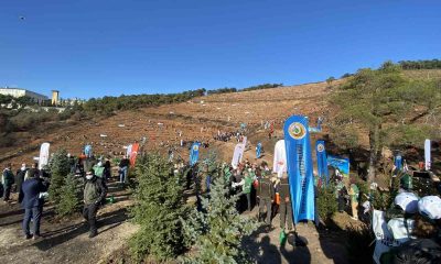 Vali Ali Yerlikaya: “El birliğiyle 8 bin 900 fidanı toprakla buluşturacağız”