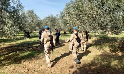 Zeytinliklere komando koruması