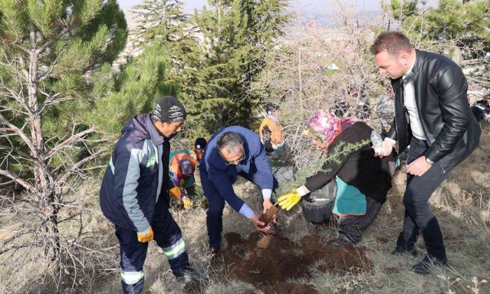 10 Bin fidan toprakla buluşuyor