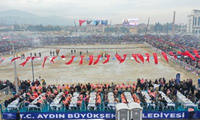 Aydın’da 184 deve kıran kırana güreşti