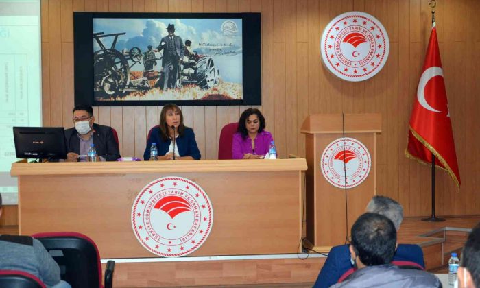 Aydın’da su ürünlerini arttırmaya yönelik toplantı düzenlendi